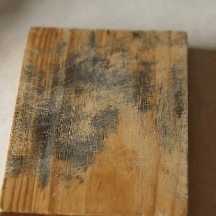 Katori Titanium Cutting Board